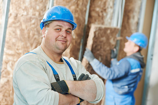 Best Eco-Friendly or Green Insulation Solutions  in Placerville, CA